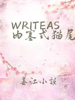 WRITEAS内塞式猫尾