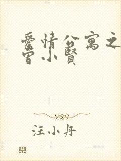 爱情公寓之极品曾小贤