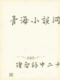 青海小说网