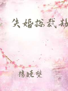 失婚总裁劫前妻