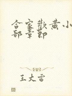 合家欢黄小梅全部章节