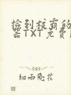 捡到校霸的遥控器TXT免费阅读