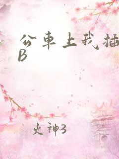 公车上我插上骚B