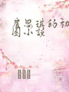 房思琪的初恋乐园小说