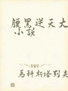 腹黑逆天大小姐 小说