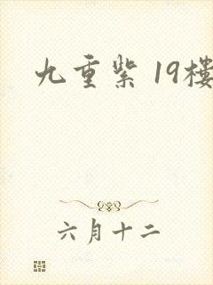 九重紫 19楼
