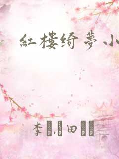 红楼绮梦小说