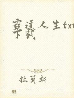 霸道人生txt下载
