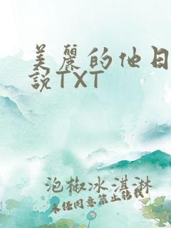 美丽的他日剧小说TXT