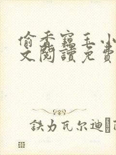 偷香窃玉小说全文阅读免费