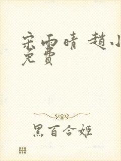 宋雨晴 赵小刚免费