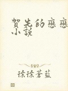 贺先的恋恋不忘小说