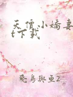 天价小娇妻txt下载