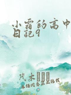 小霜的高中成长日记9