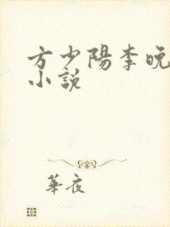 方少阳李晚晴的小说