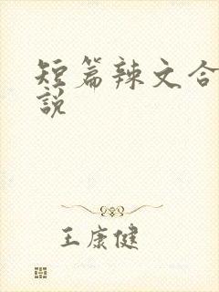 短篇辣文合集小说
