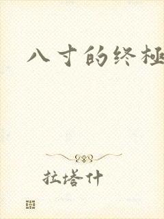 八寸的终极凶器