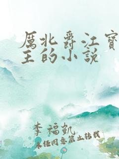 厉北爵江宝宝男主的小说