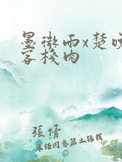 墨微雨x楚晚宁客栈肉