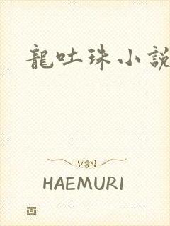 龙吐珠小说