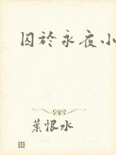 囚于永夜小说