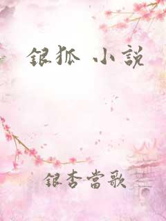 银狐 小说