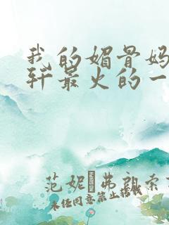 我的媚骨妈妈林轩最火的一句