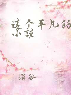 这个平凡的男子小说