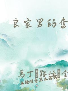 良家男的奋斗史