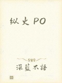 纵火 PO