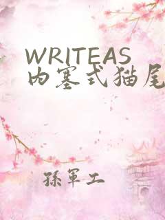 WRITEAS内塞式猫尾