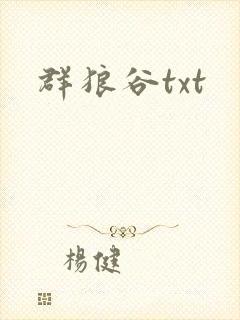群狼谷txt