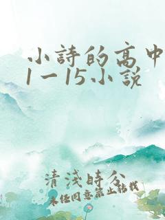 小诗的高中日记1一15小说