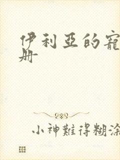 伊利亚的宠物手册