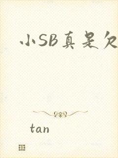 小SB真是欠C