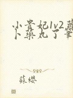 小贵妃1v2萝卜药丸了笔趣阁