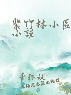 紫竹林小区快递小说