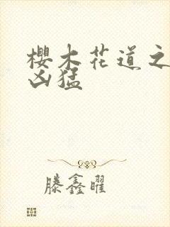 樱木花道之重生凶猛