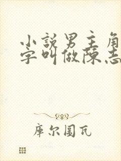 小说男主角的名字叫做陈志远