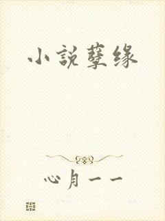 小说孽缘
