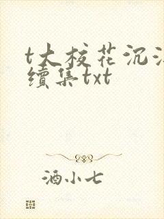 t大校花沉浮录续集txt