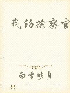 我的检察官先生