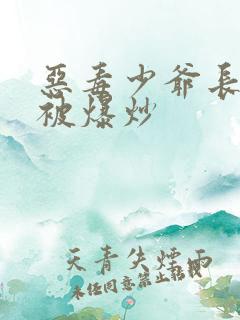 恶毒少爷长大后被爆炒