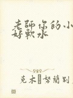 老师你的小兔子好软水
