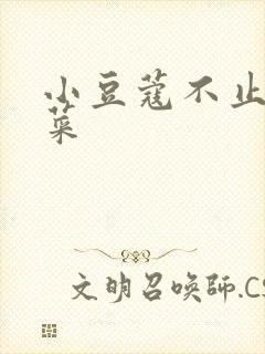 小豆蔻不止是颗菜