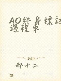 AO终身标记全过程车