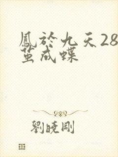 凤于九天28破茧成蝶
