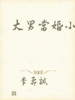 大男当婚小说