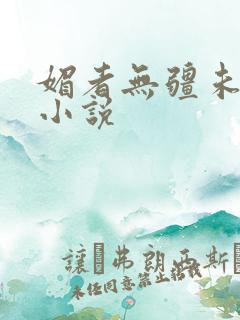 媚者无疆未删减小说