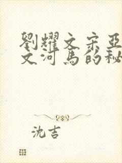 刘耀文宋亚轩车文河马的秘密河润滑油